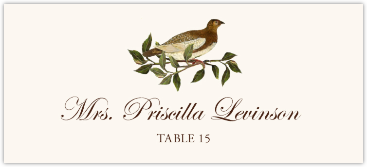 Brown Birds  Place Cards
