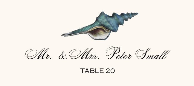 Antique Seashell Collector  Place Cards