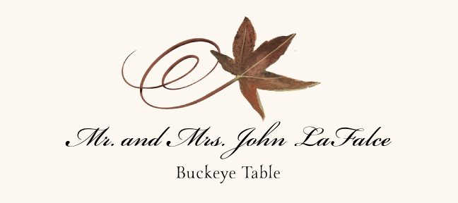 Assorted Swirly Leaves  Place Cards