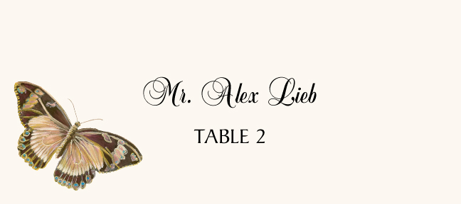 Butterfly Assortment  Place Cards