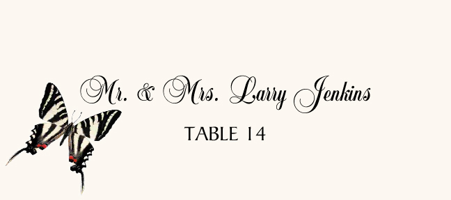 Butterfly Assortment  Place Cards