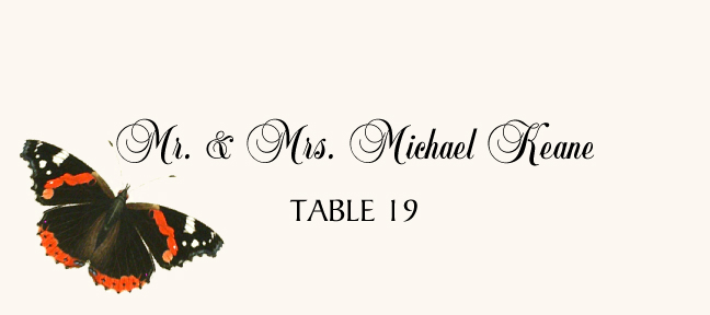 Butterfly Assortment  Place Cards