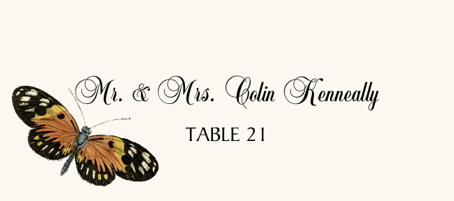 Butterfly Assortment  Place Cards