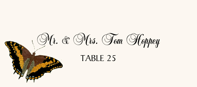 Butterfly Assortment  Place Cards