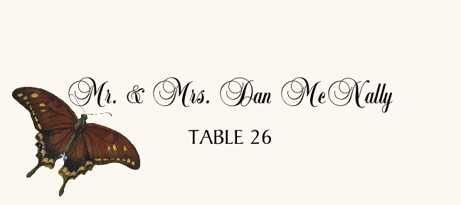 Butterfly Assortment  Place Cards