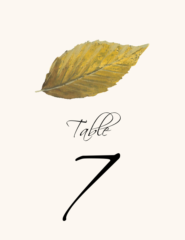 Colorful Leaves Assortment 02  Table Numbers