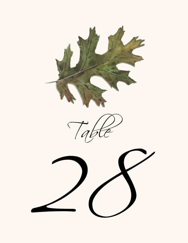 Colorful Leaves Assortment 02  Table Numbers