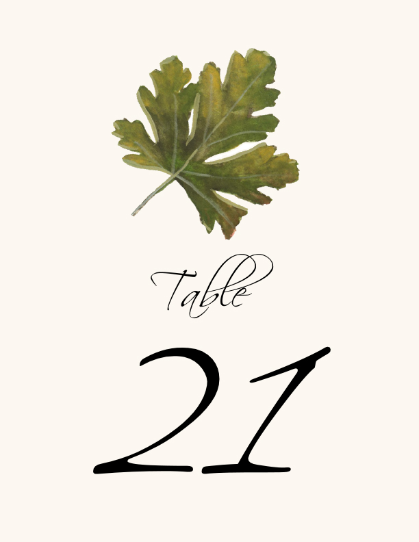 Colorful Leaves Assortment 02  Table Numbers