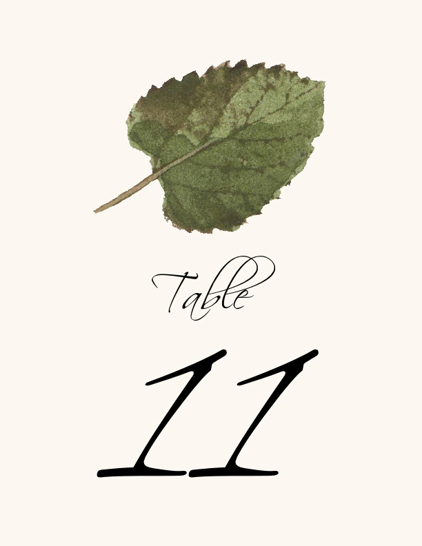 Colorful Leaves Assortment 02  Table Numbers