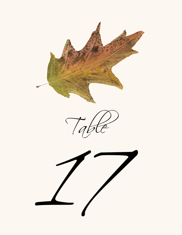 Colorful Leaves Assortment 02  Table Numbers