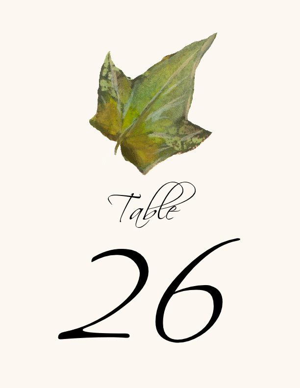 Colorful Leaves Assortment 02  Table Numbers