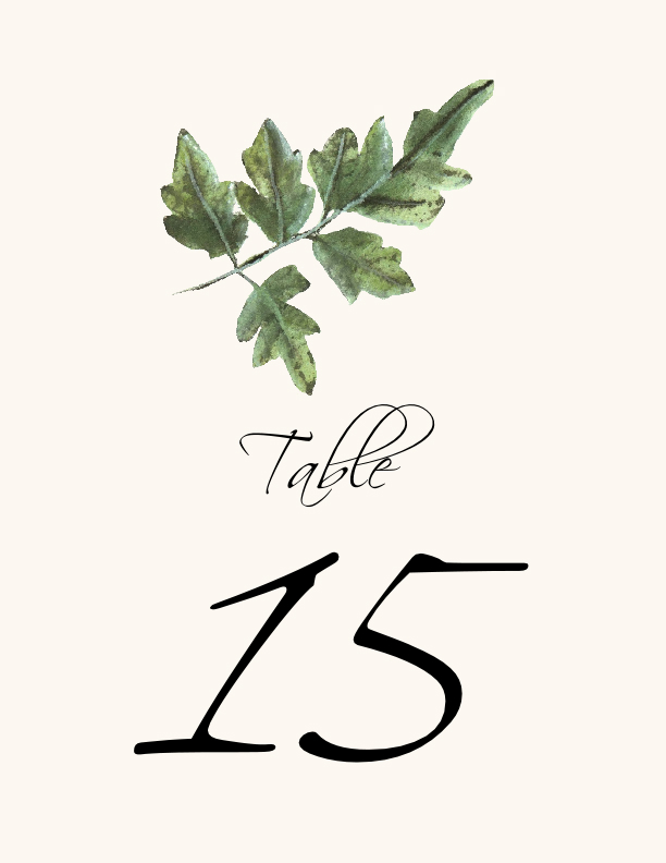 Colorful Leaves Assortment 02  Table Numbers