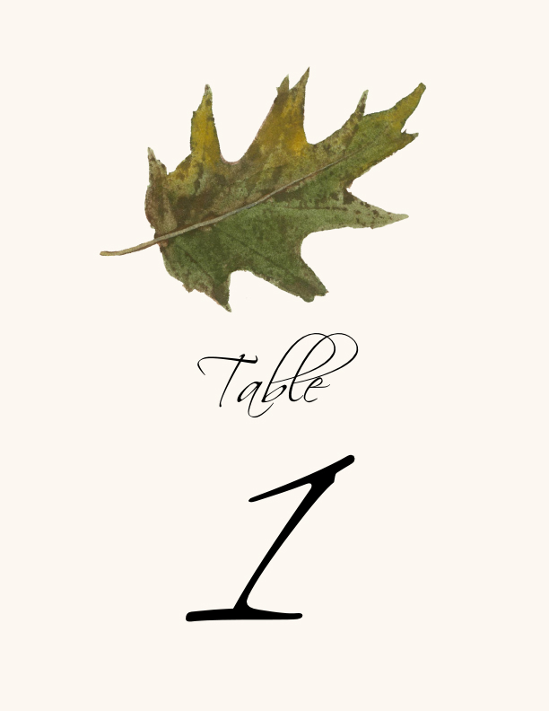 Colorful Leaves Assortment 02  Table Numbers
