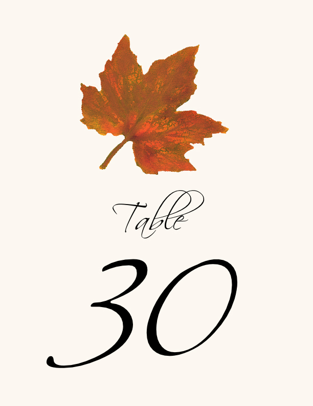 Colorful Leaves Assortment 02  Table Numbers