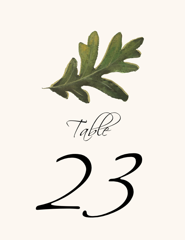 Colorful Leaves Assortment 02  Table Numbers