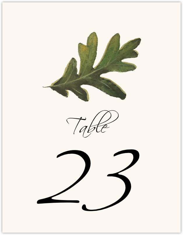 Colorful Leaves Assortment 02  Table Numbers