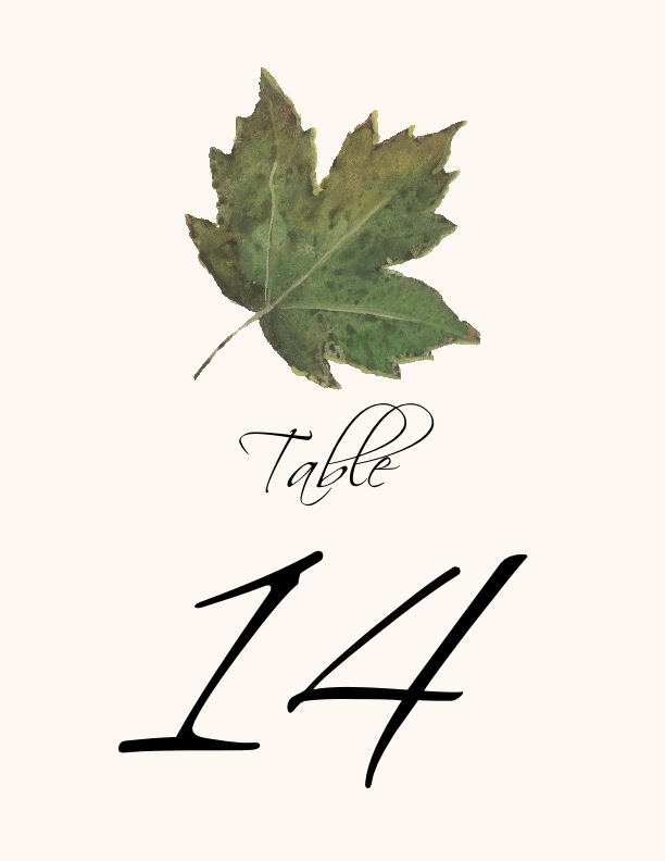 Colorful Leaves Assortment 02  Table Numbers