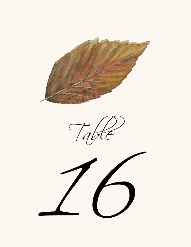 Colorful Leaves Assortment 02  Table Numbers