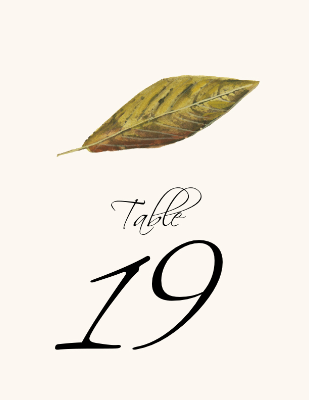 Colorful Leaves Assortment 02  Table Numbers