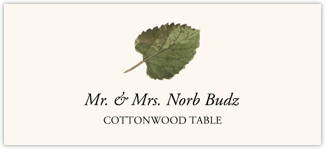 Cottonwood Colorful Leaf  Place Cards