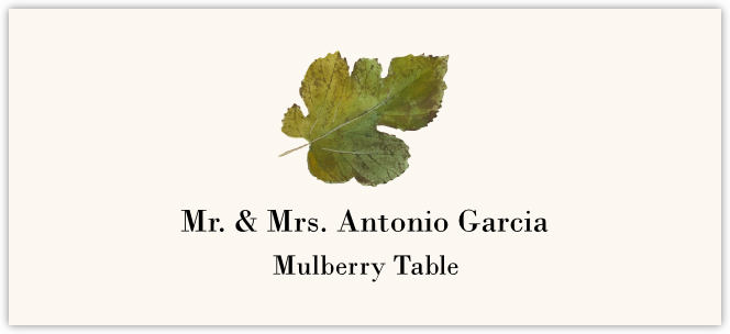 Mulberry Colorful Leaf  Place Cards