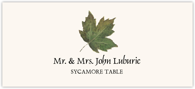 Sycamore Colorful Leaf  Place Cards