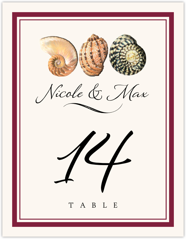 Conch Pattern  Table Numbers