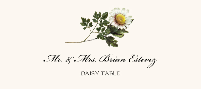 Daisy  Place Cards