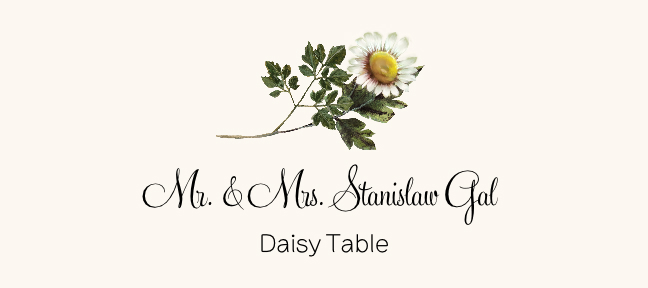 Assorted Flowers  Place Cards