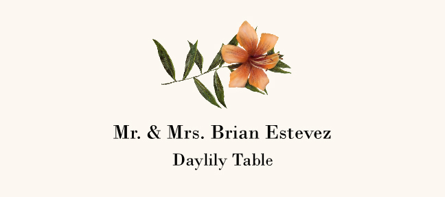 Daylily  Place Cards