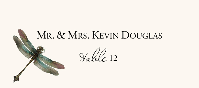 Dragonflies  Place Cards