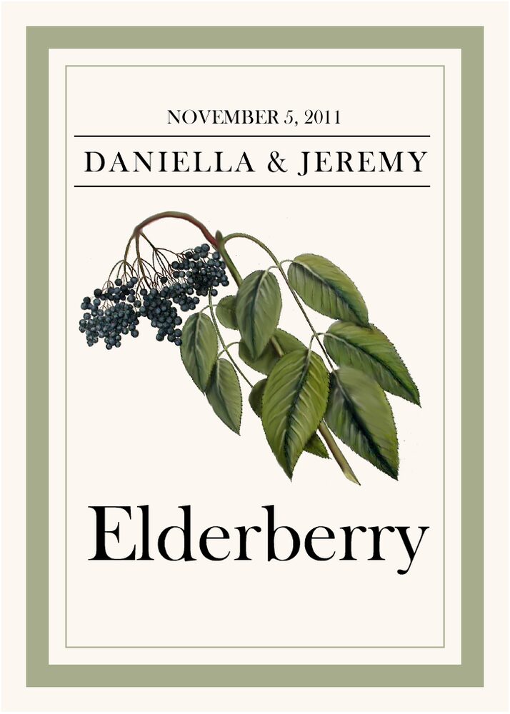 Fruit, Vegetables, Nuts & Grains  Table Names
