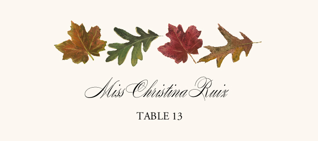 Leaf Pattern Assortment  Place Cards