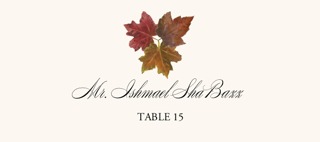 Leaf Pattern Assortment  Place Cards