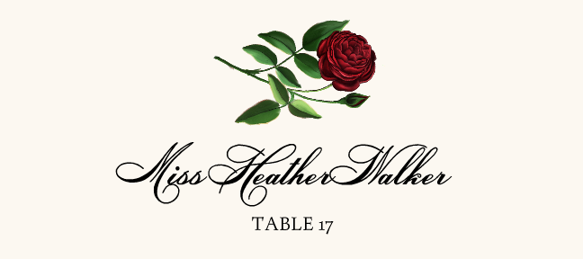 Roses Assortment  Place Cards