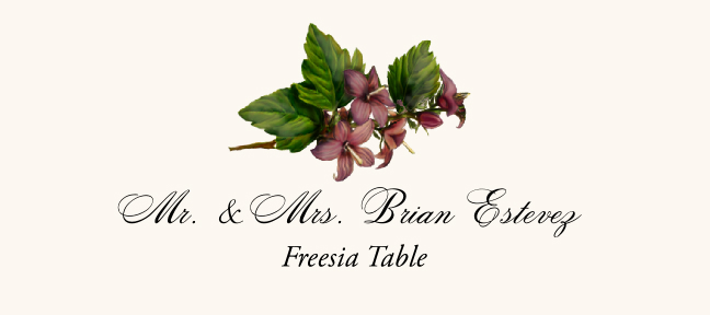 Freesia  Place Cards