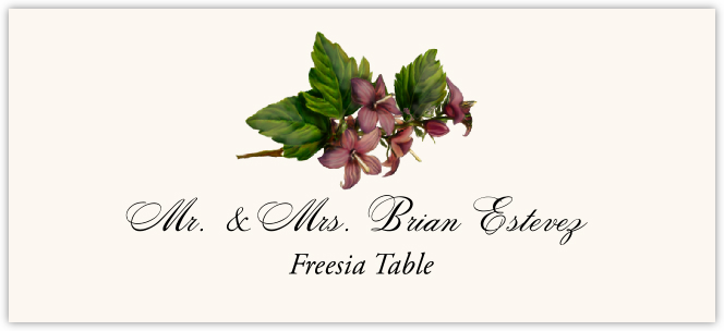 Freesia  Place Cards