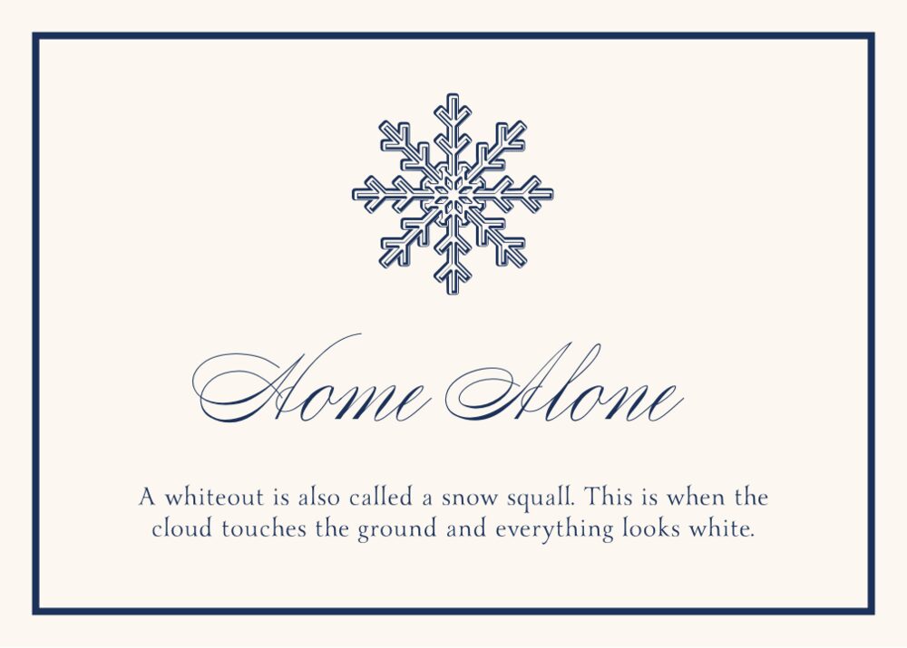 Snowflake Drawings Assortment  Memorabilia Cards
