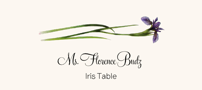 Assorted Flowers  Place Cards