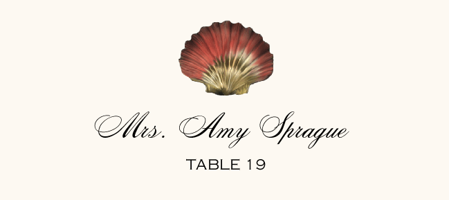 Antique Seashell Collector  Place Cards
