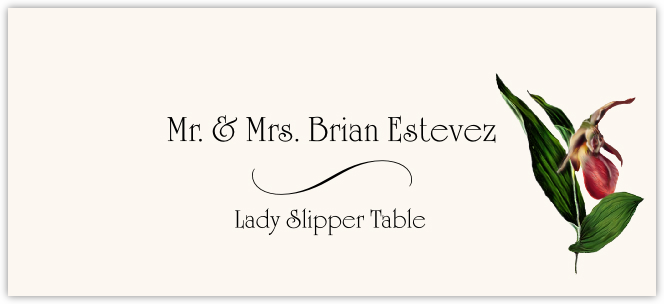 Lady Slipper  Place Cards