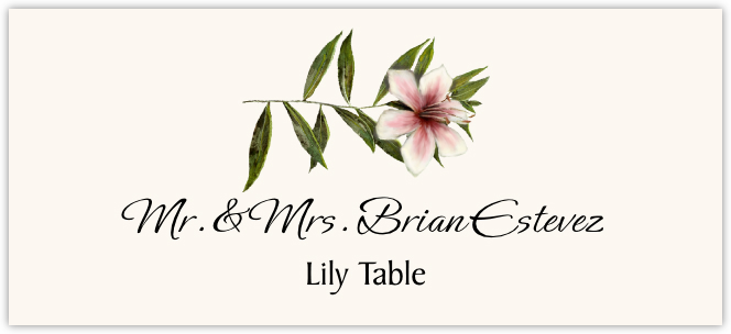 Lily  Place Cards