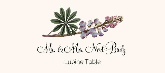 Assorted Flowers  Place Cards