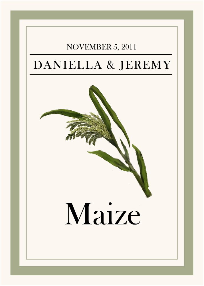 Fruit, Vegetables, Nuts & Grains  Table Names