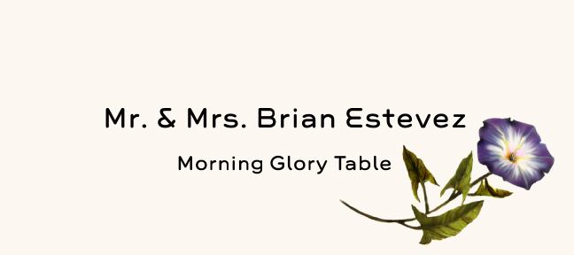 Morning Glory  Place Cards