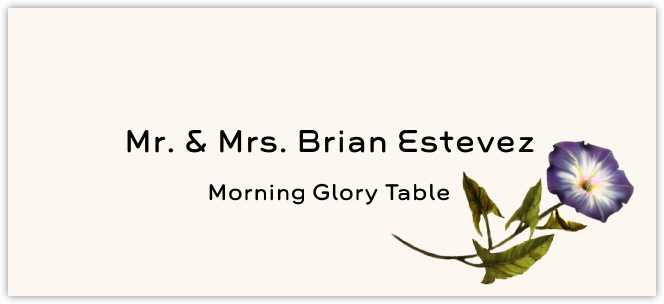 Morning Glory  Place Cards