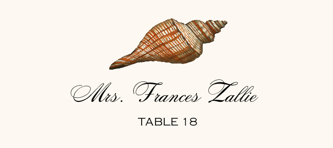 Antique Seashell Collector  Place Cards