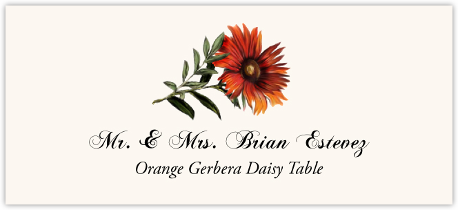 Orange Gerbera Daisy  Place Cards