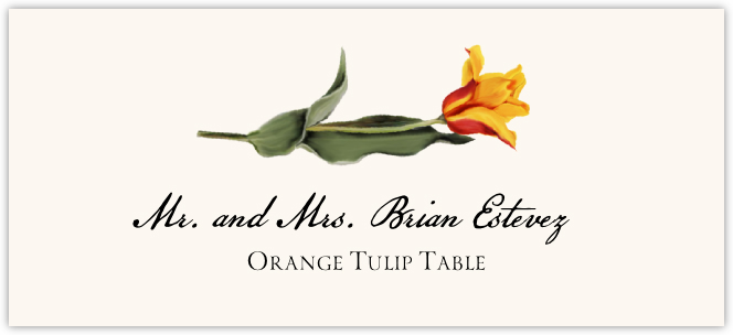 Orange Tulip  Place Cards