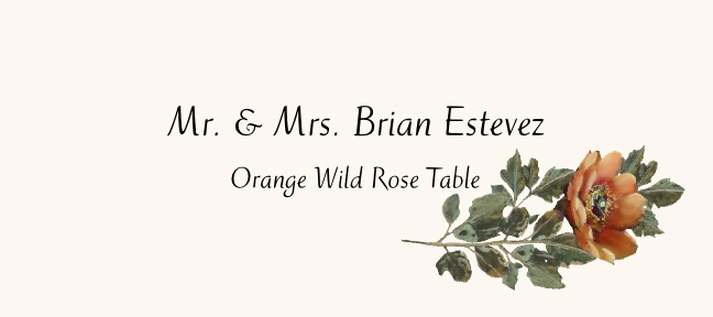 Orange Wild Rose  Place Cards